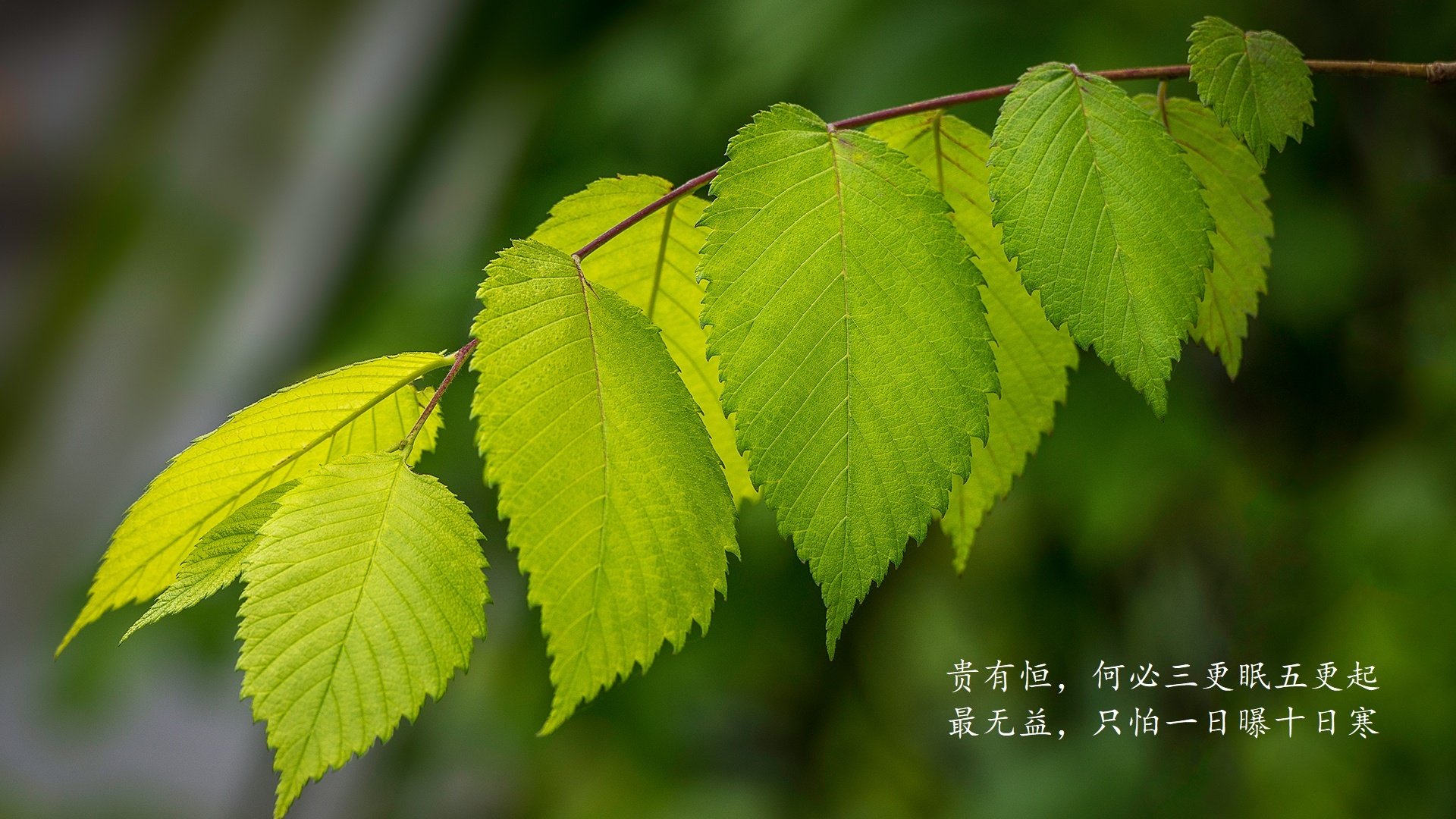 开云·Kaiyun网页版-中国足球裁判员培训实现线上线下融合，提升判罚水平，2021足球裁判员培训报名
