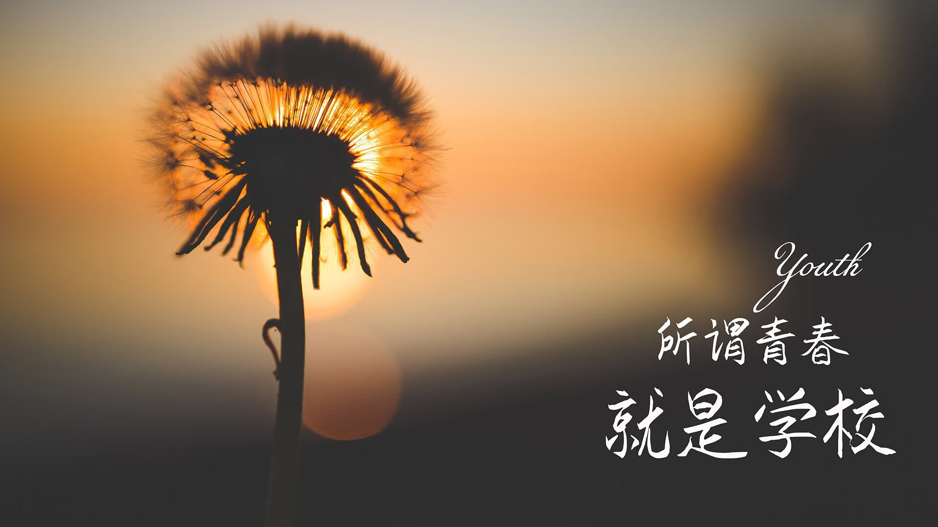 Kaiyun(中国)开云-传奇传奇：逆境中崛起的篮球巨星人生故事，传奇篮球球星
