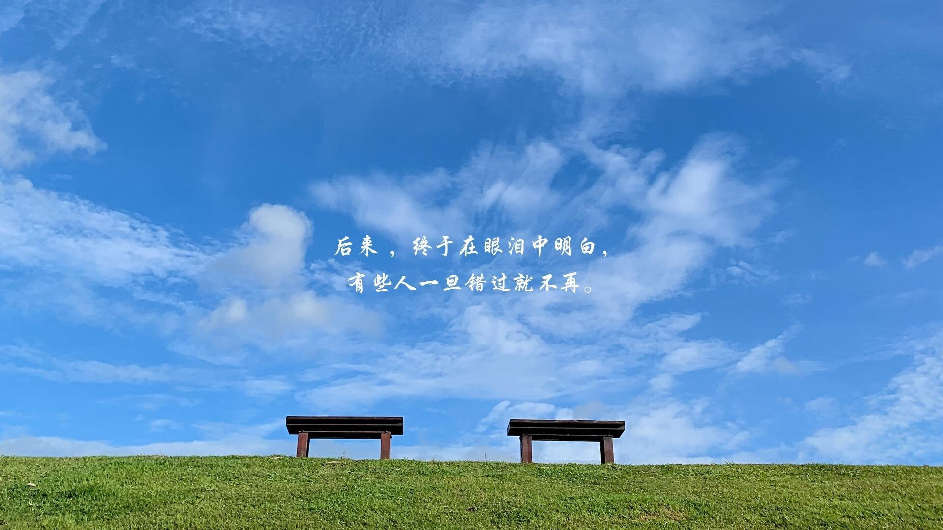 2024国际乒联混合团体世界杯：Chinese Taipei战队表现亮眼，2020国际乒联团体世界杯