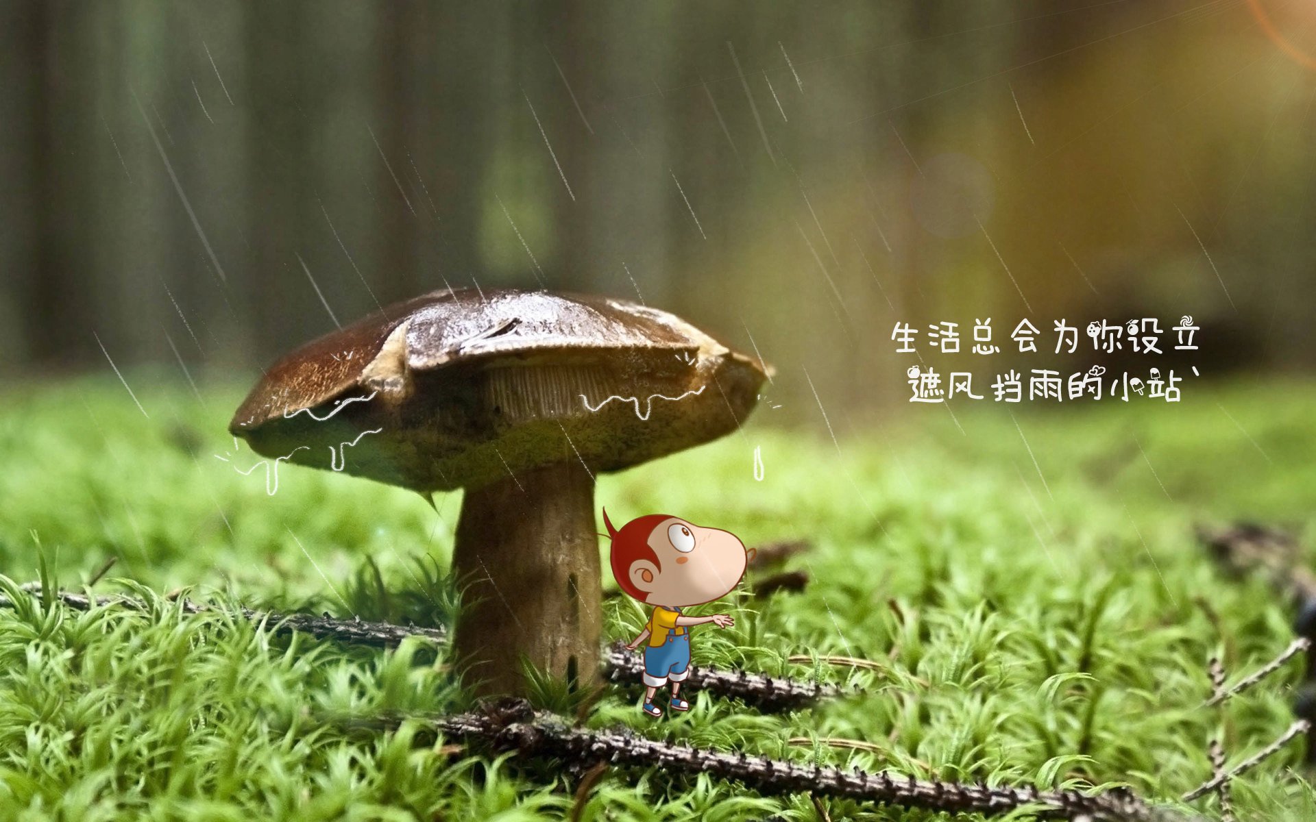 五大联赛是否呈现中前场球员多功能化趋势，五大联赛球迷进场