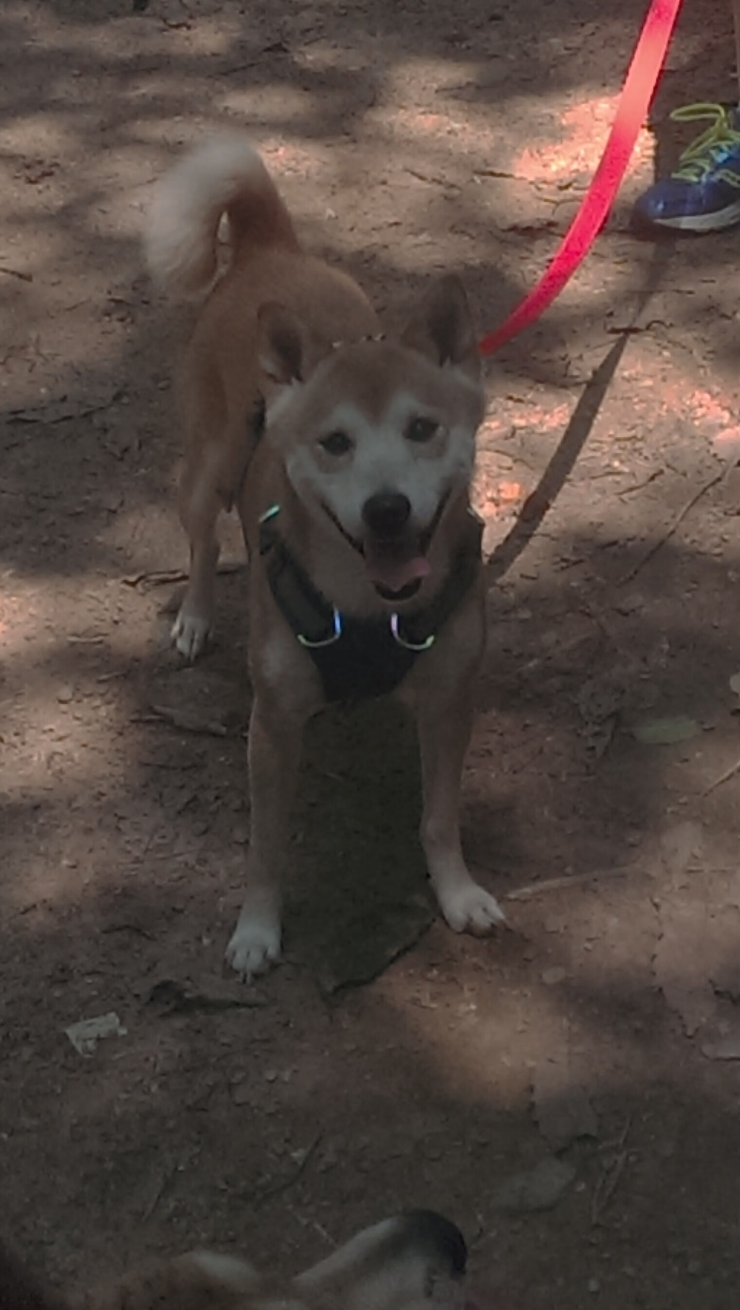 开云官网APP下载-中国足球联赛优化球场周边城市交通协同计划，中国足球场地