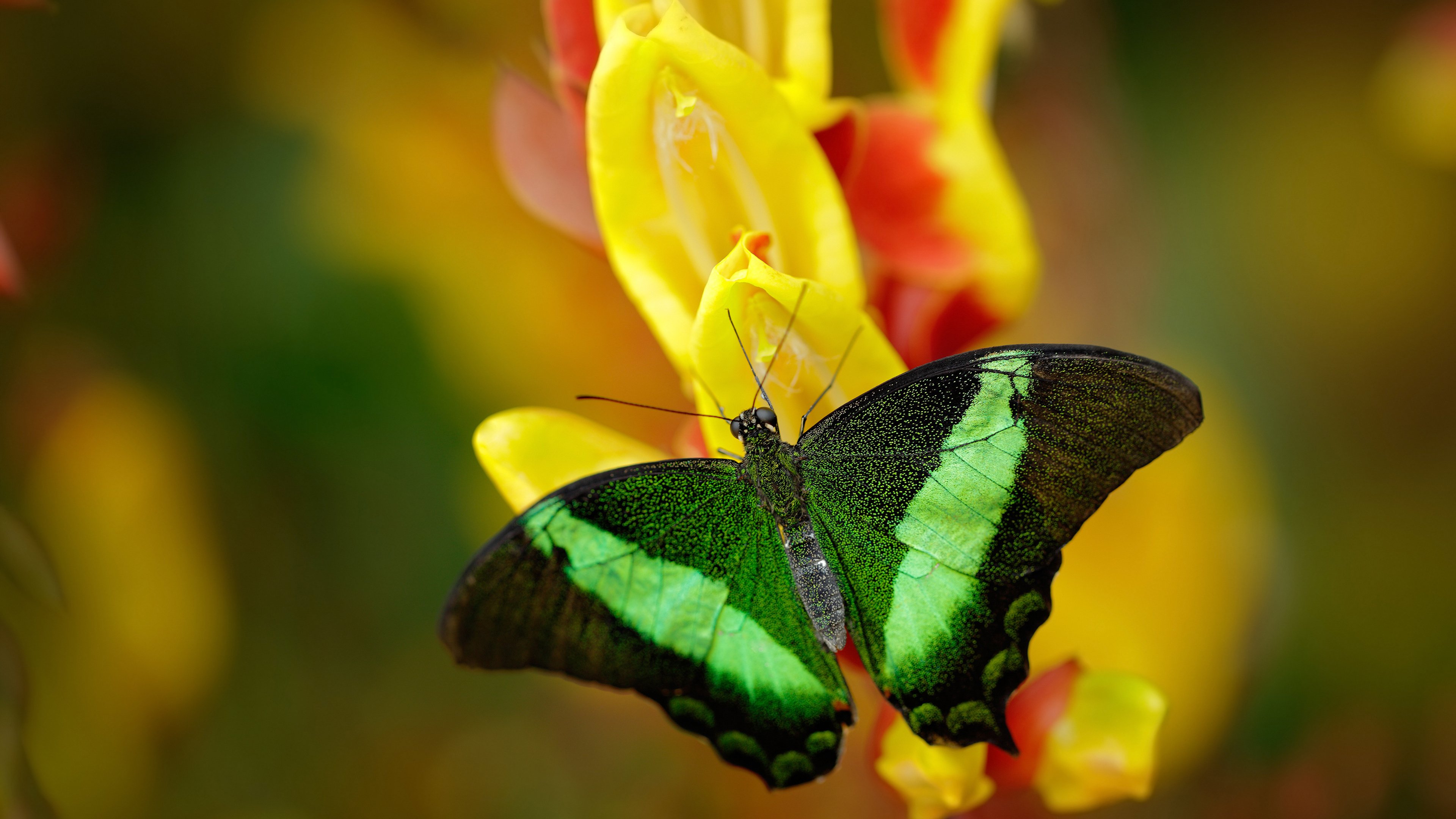 滑雪运动装备检测标准逐步完善,滑雪装备示意图