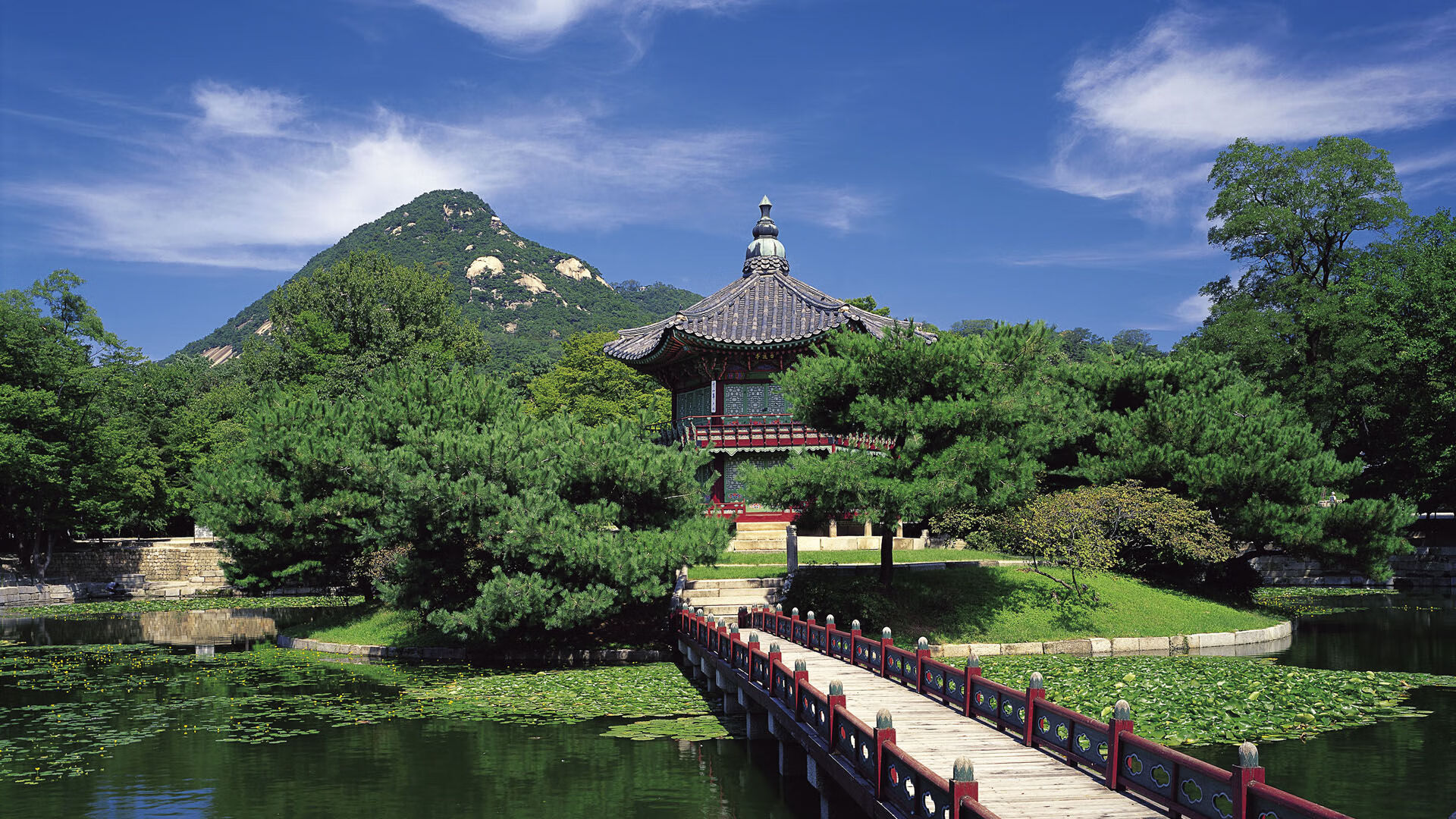 kaiyun开云·官方网站-青训球员个人成长手册发布覆盖训练目标学习计划饮食管理，青训球员的定义